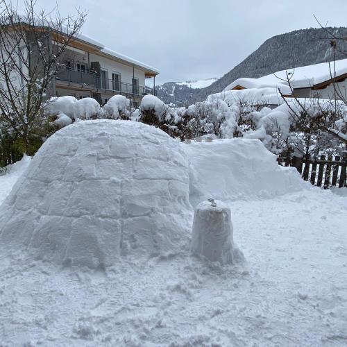 Schnee11