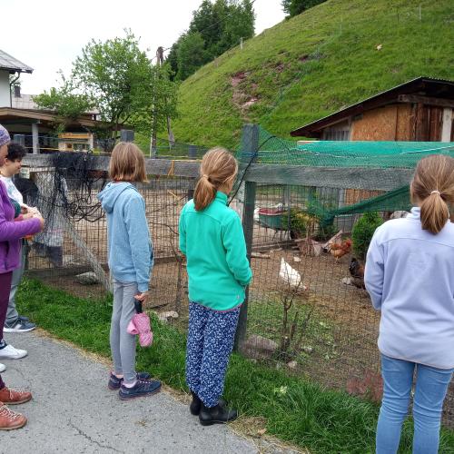 Bauernhof22