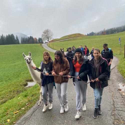 WaldamSee2a
