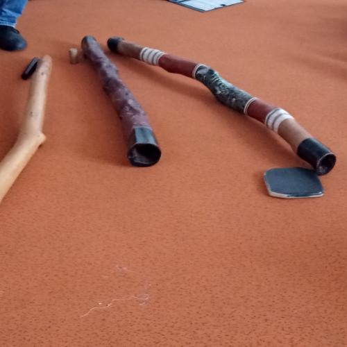 Digeridoo