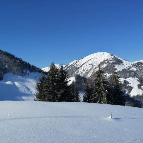 Schitag1