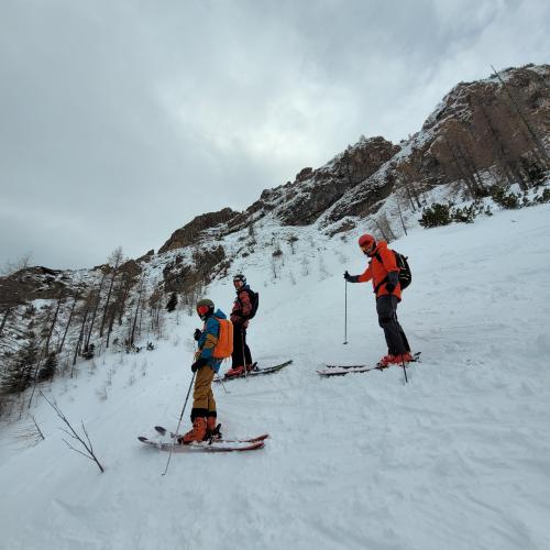freeride