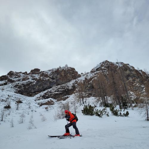 freeride