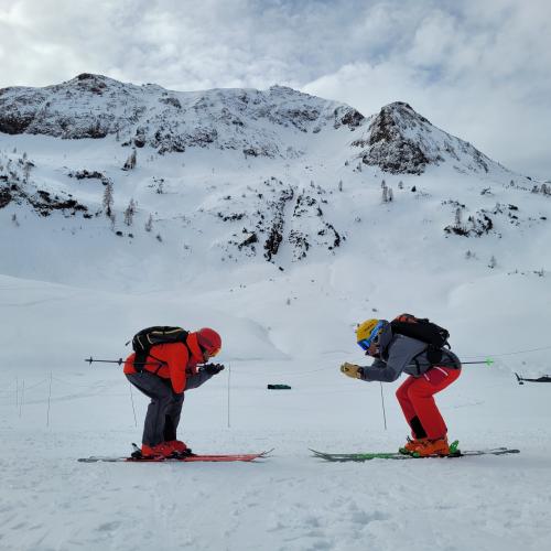 freeride