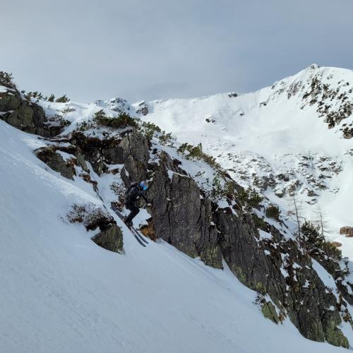 freeride