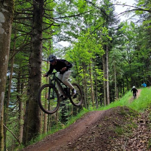 Trail