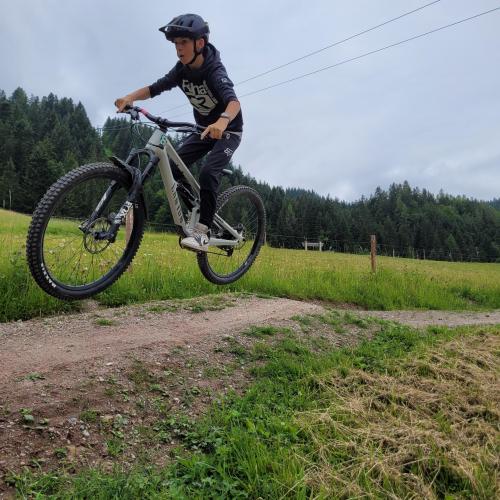 Trail