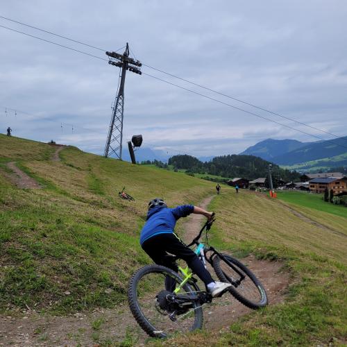 Trail