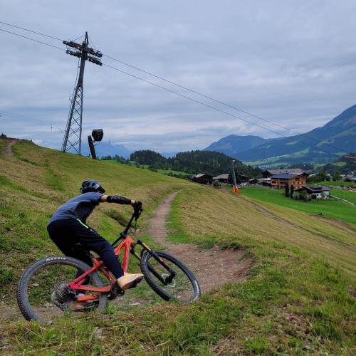 Trail
