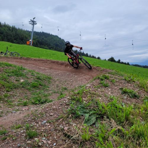 Trail