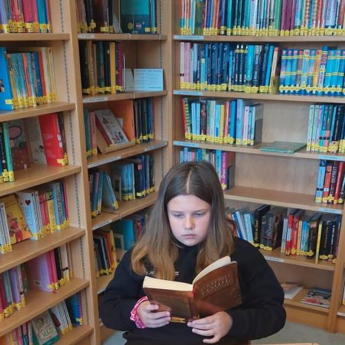 Besuch in der Bibliothek 1