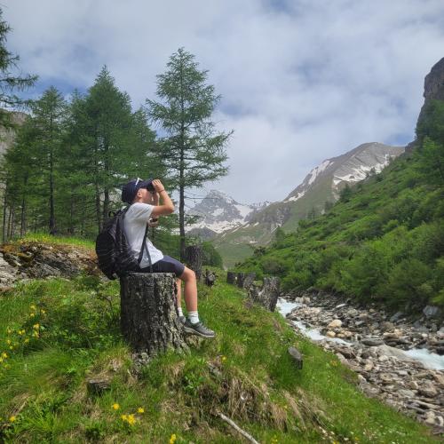 Hohe Tauern1