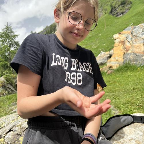 Hohe Tauern1