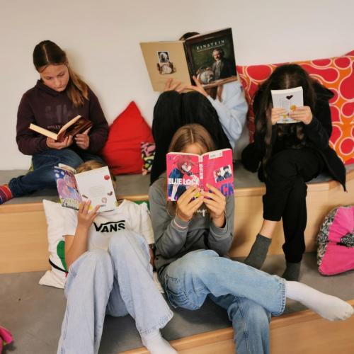 Biblioneu