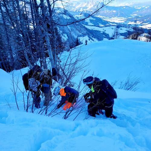 freeride25