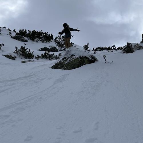 WSW25