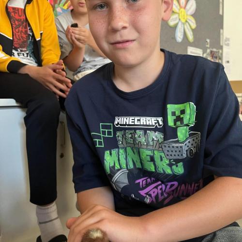 Küken