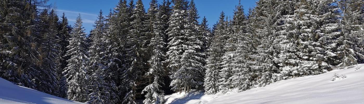 © TD Wintersport