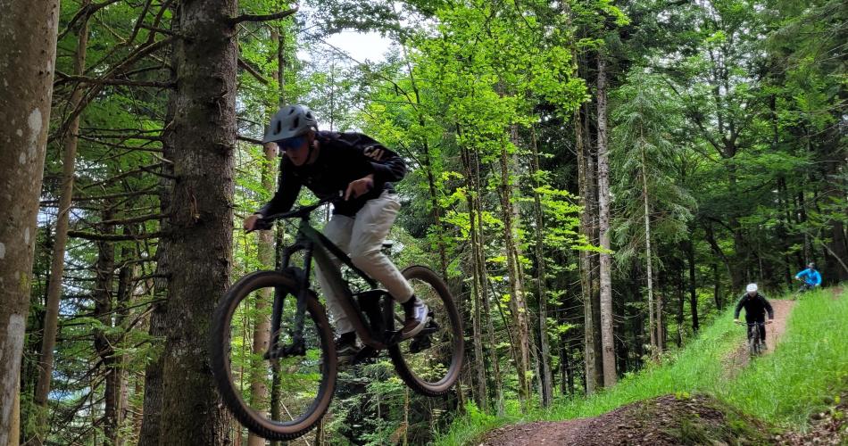 Trail